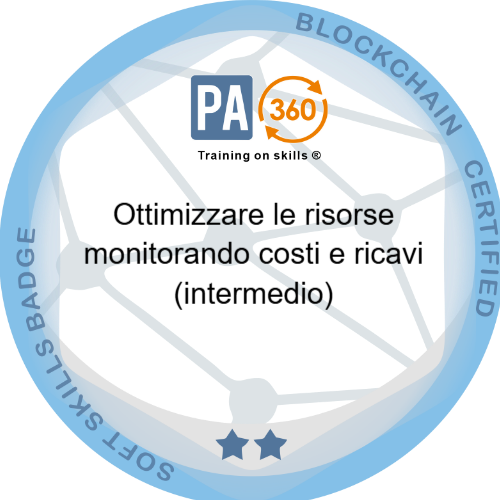 Badge pubblico 68766